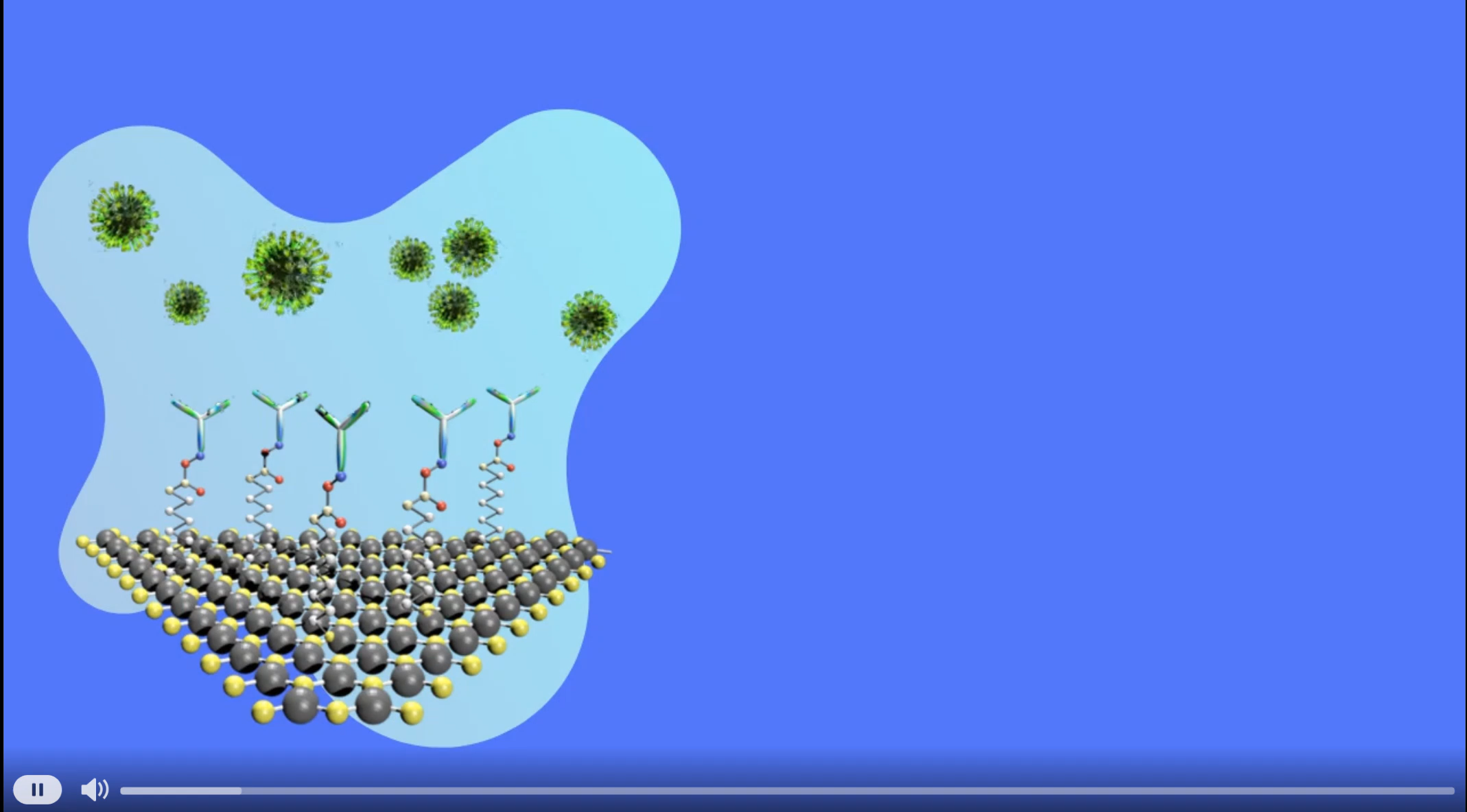 WSe2 field-effect transistor biosensor schematic