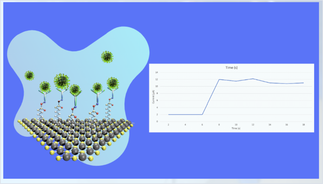 Activated MUA linker chemistry on the chip surface